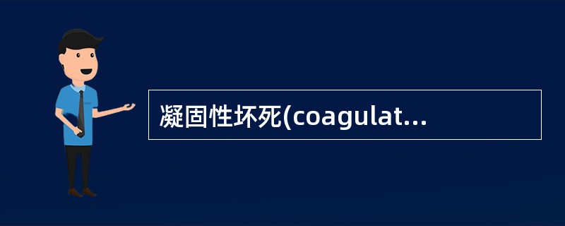 凝固性坏死(coagulative necrosis)