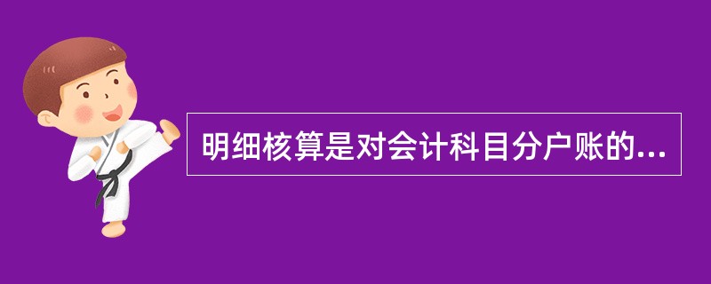 明细核算是对会计科目分户账的核算，是综合核算的补充和具体化，主要包括（）。