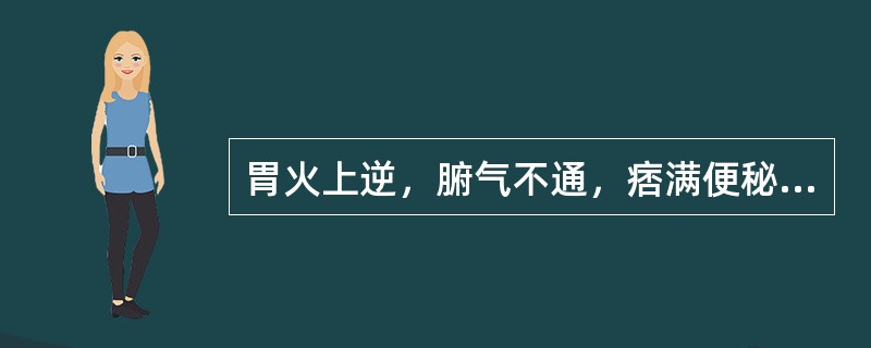 胃火上逆，腑气不通，痞满便秘，方选（）。