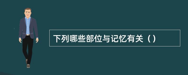 下列哪些部位与记忆有关（）