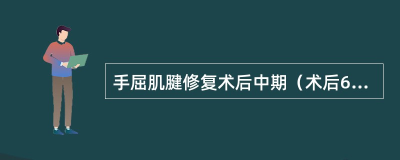 手屈肌腱修复术后中期（术后6～8周）可进行（）