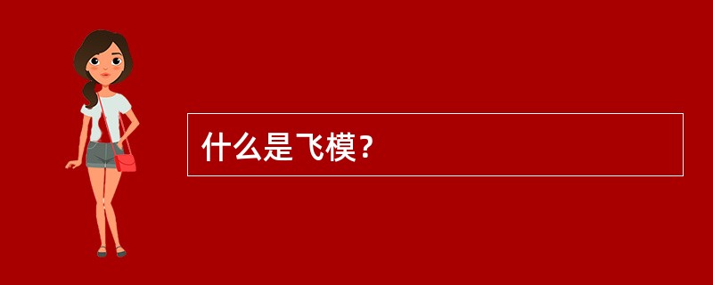 什么是飞模？