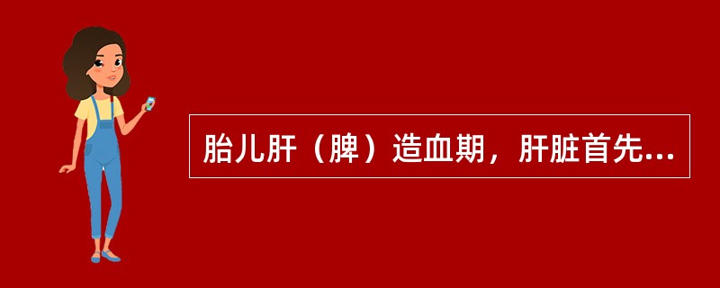 胎儿肝（脾）造血期，肝脏首先产生（）.