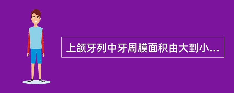 上颌牙列中牙周膜面积由大到小的排列顺序是（）。