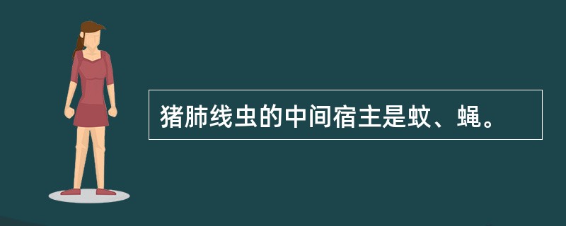 猪肺线虫的中间宿主是蚊、蝇。