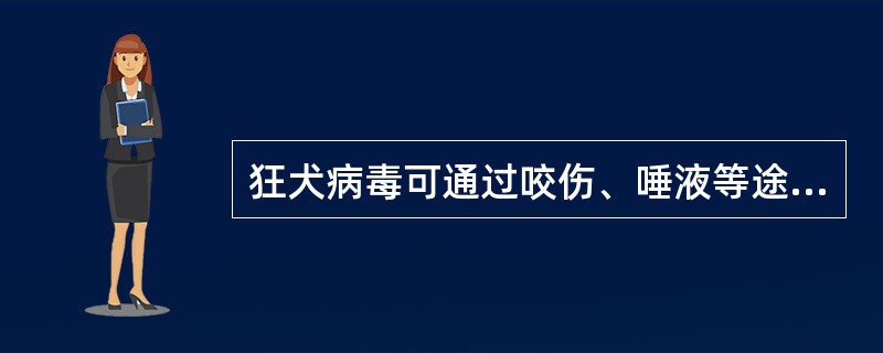 狂犬病毒可通过咬伤、唾液等途径进行传播。