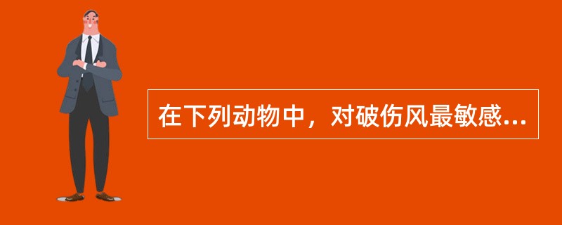 在下列动物中，对破伤风最敏感的动物是（）。