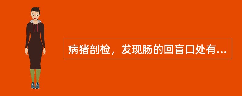 病猪剖检，发现肠的回盲口处有扣状肿胀、溃疡，应怀疑为（）。