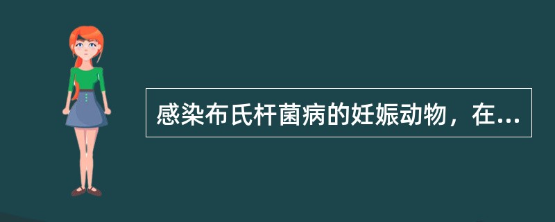 感染布氏杆菌病的妊娠动物，在其流产或分娩时，随胎儿、胎衣等排出大量布鲁氏杆菌。