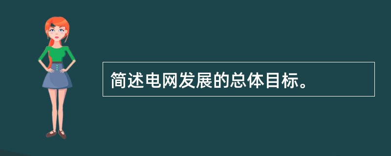 简述电网发展的总体目标。