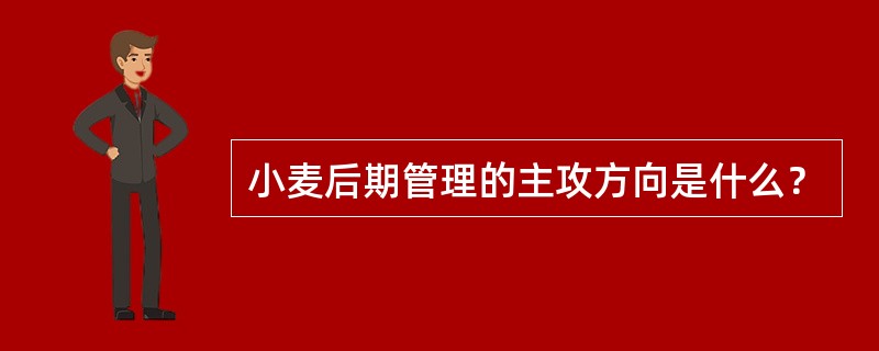 小麦后期管理的主攻方向是什么？