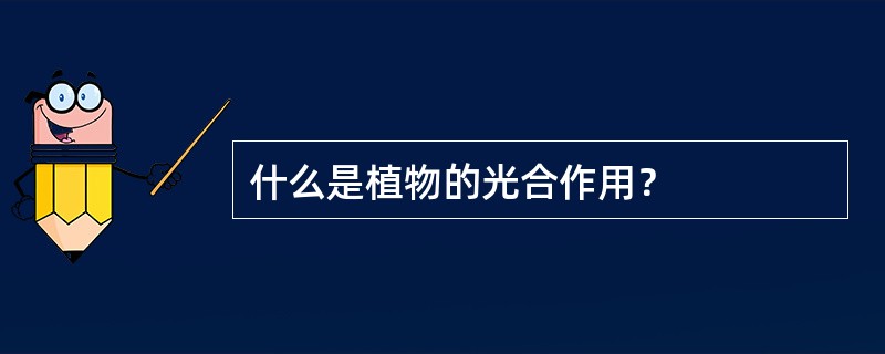 什么是植物的光合作用？