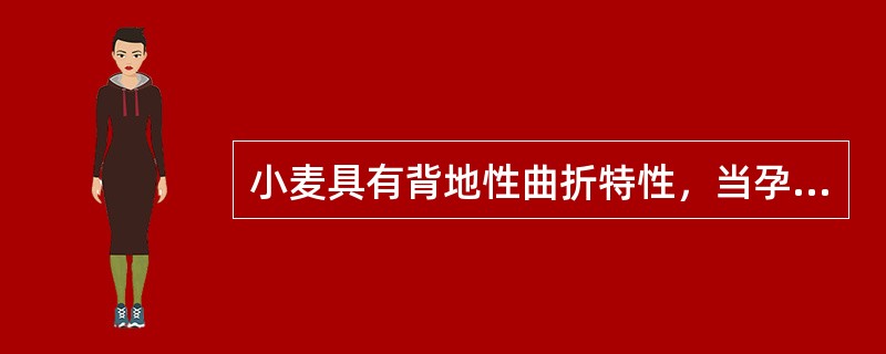 小麦具有背地性曲折特性，当孕穗期发生倒伏时曲折部位为（）