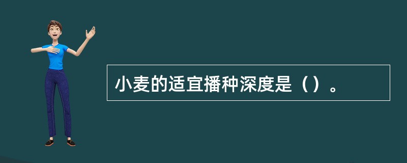 小麦的适宜播种深度是（）。