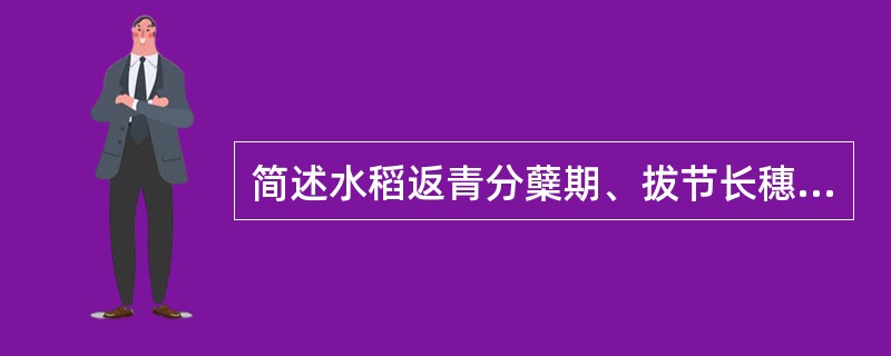简述水稻返青分蘖期、拔节长穗期、抽穗结实期的生育特点？