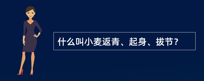 什么叫小麦返青、起身、拔节？