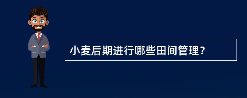 小麦后期进行哪些田间管理？