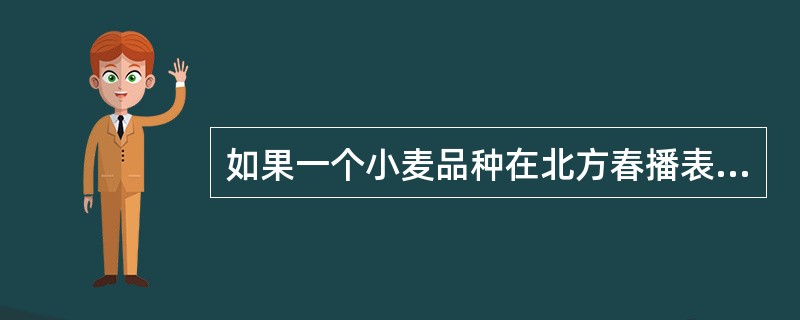 如果一个小麦品种在北方春播表现为不能抽穗结实，则这个品种为（）