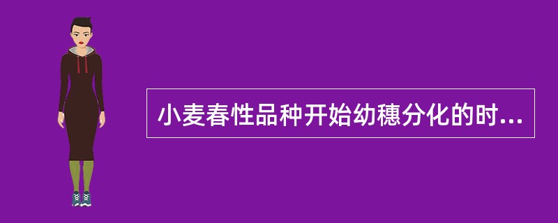 小麦春性品种开始幼穗分化的时期一般在（）。