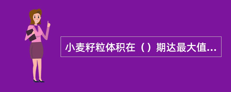 小麦籽粒体积在（）期达最大值，（）期鲜重达最大值，（）期干重达最大值。