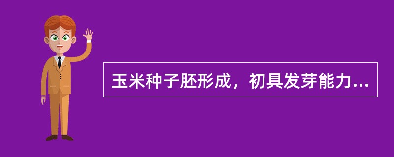 玉米种子胚形成，初具发芽能力的时期为（）