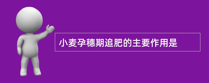 小麦孕穗期追肥的主要作用是