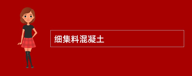 细集料混凝土