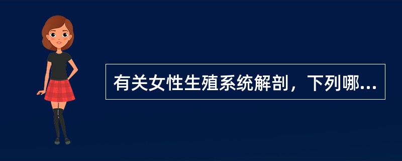 有关女性生殖系统解剖，下列哪项错误（）