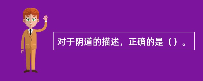 对于阴道的描述，正确的是（）。