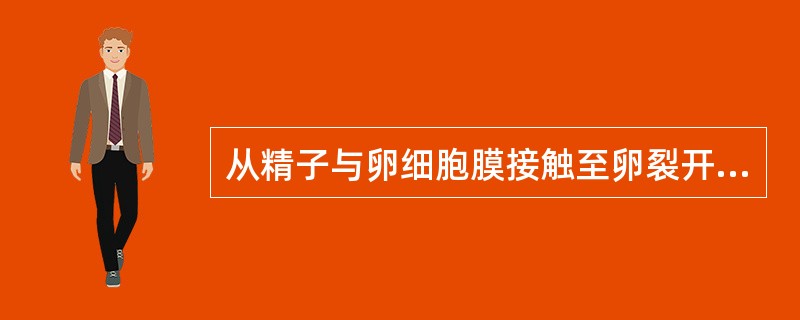 从精子与卵细胞膜接触至卵裂开始，下列哪一项不发生（）
