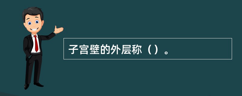 子宫壁的外层称（）。