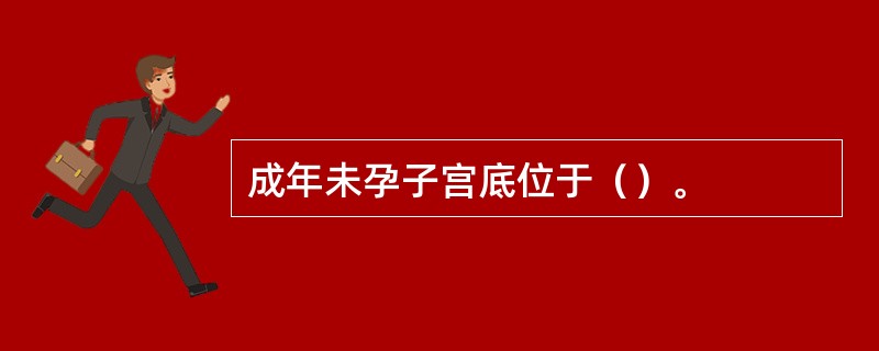 成年未孕子宫底位于（）。