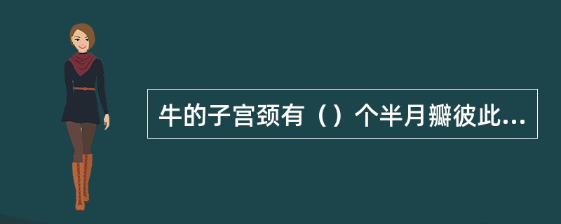 牛的子宫颈有（）个半月瓣彼此嵌合。