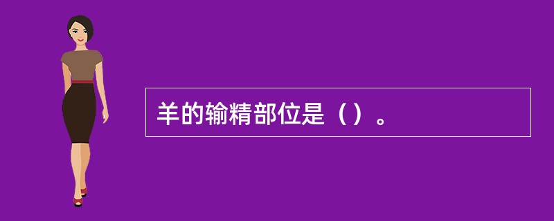 羊的输精部位是（）。