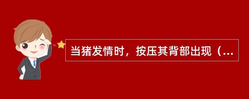 当猪发情时，按压其背部出现（）。