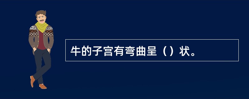 牛的子宫有弯曲呈（）状。