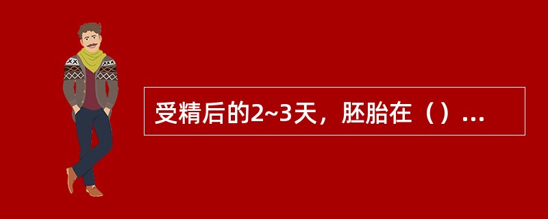 受精后的2~3天，胚胎在（）内发育。