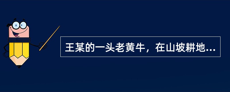 王某的一头老黄牛，在山坡耕地摔断，造成大腿骨骨折，到兽医院进行了骨折手术构成骨的