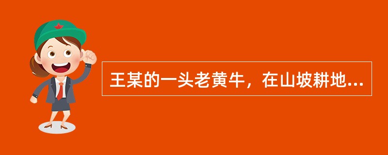 王某的一头老黄牛，在山坡耕地摔断，造成大腿骨骨折，到兽医院进行了骨折手术保护的原