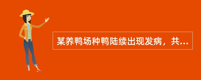 某养鸭场种鸭陆续出现发病，共养种鸭2000只，每天死亡30只，临床表现：产蛋下降