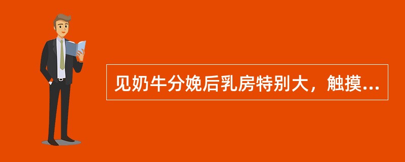 见奶牛分娩后乳房特别大，触摸变硬，匹批发紧张发红，灼手，疼痛躲闪，每天挤出几斤奶