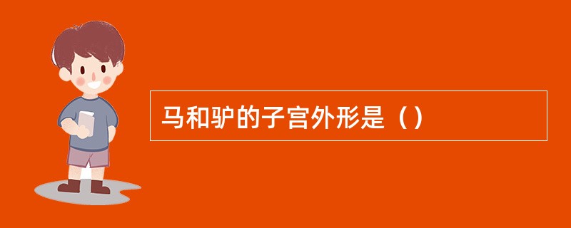 马和驴的子宫外形是（）