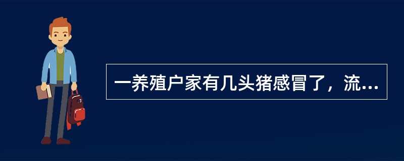 一养殖户家有几头猪感冒了，流鼻液无色透明，稀薄如水，咳嗽无痰，体温升高为38.9