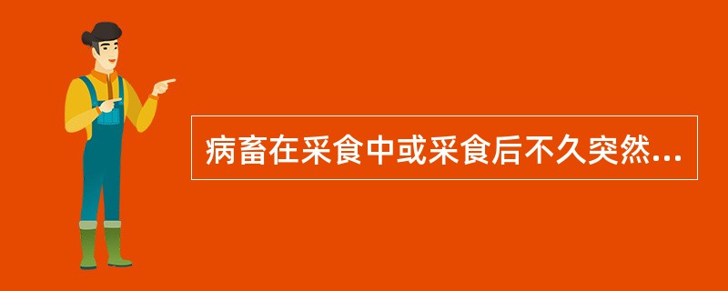病畜在采食中或采食后不久突然发病，病畜表现不安，回顾腹部，后肢踢腹及背腰拱起等腹