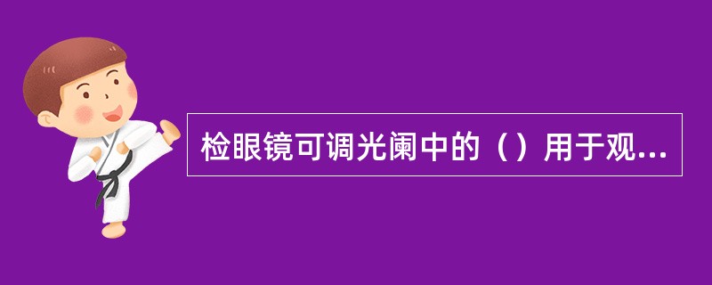 检眼镜可调光阑中的（）用于观测黄斑区。