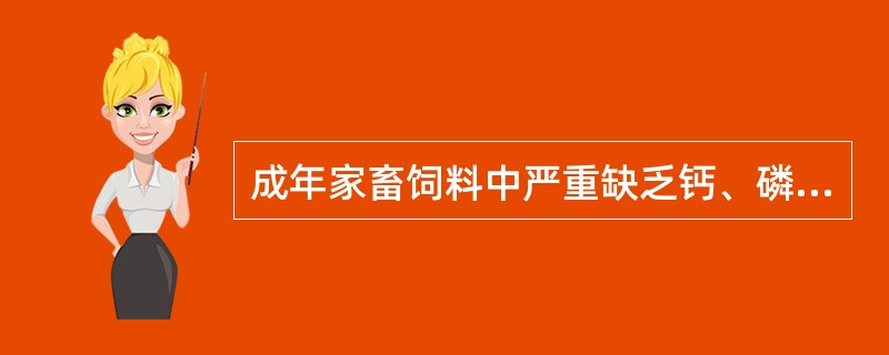 成年家畜饲料中严重缺乏钙、磷或维生素D时，易患（）。