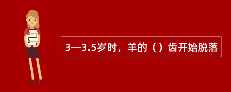 3—3.5岁时，羊的（）齿开始脱落