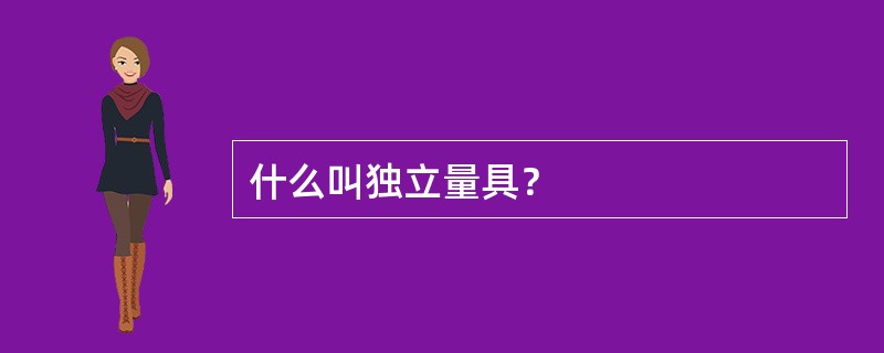 什么叫独立量具？