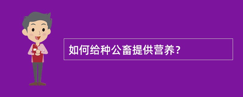 如何给种公畜提供营养？