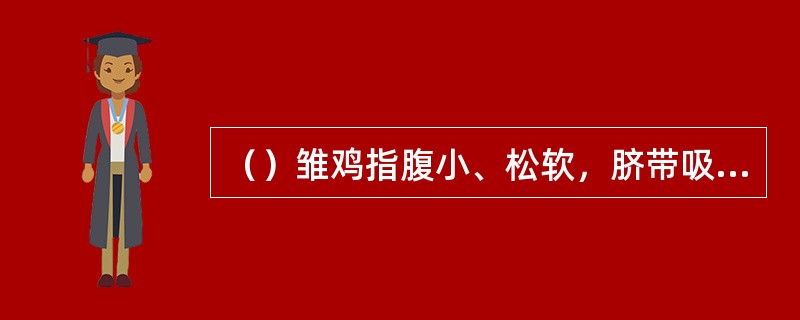 （）雏鸡指腹小、松软，脐带吸收良好，活泼有神，（）雏指脐带愈合不良或发青，卵黄吸